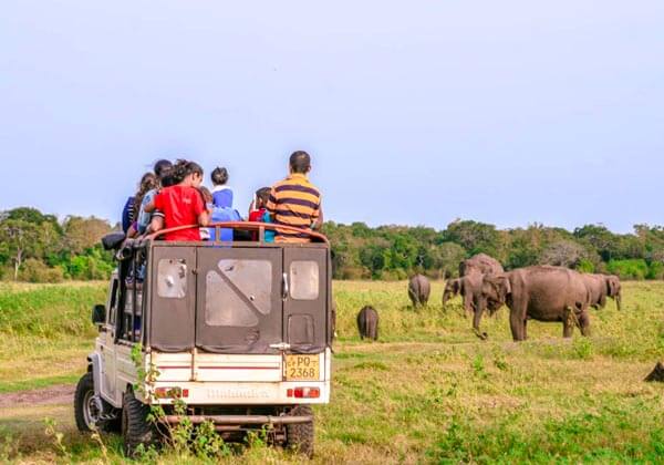 Minneriya National Park Sri Lanka