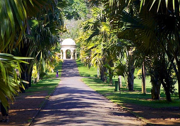 Peradeniya Royal Botanic Gardens