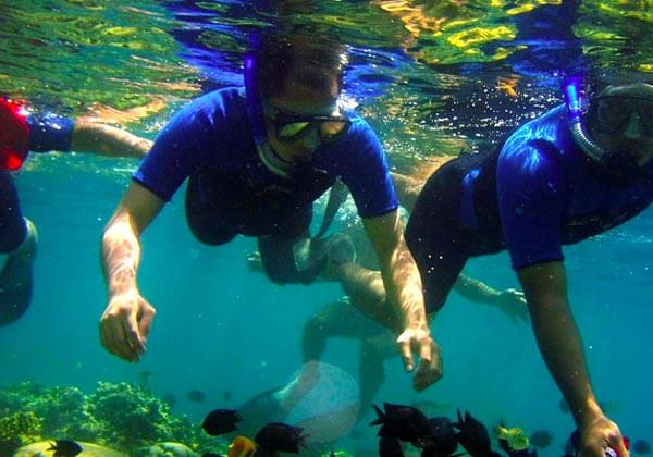 THE REEFS OF BENTOTA in Sri Lanka